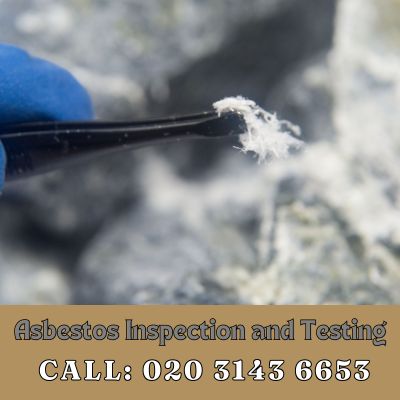 Comprehensive Asbestos Inspection and Testing Services in Dalston